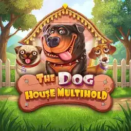 The Dog House Multihold chez Runa Casino pour les joueurs en France The Dog House Multihold chez Runa Casino pour les joueurs en France